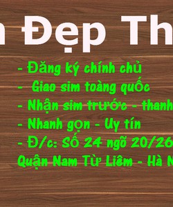 Sim viettel giá rẻ