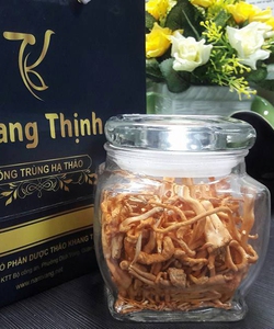 Nấm Đông trùng hạ thảo Khô