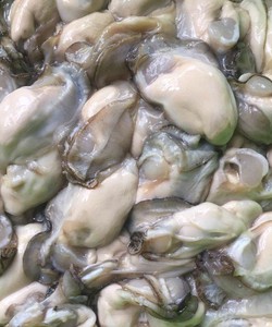 Hàu sữa Hạ Long đã tách vỏ