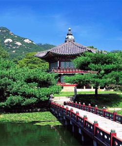 KHÁM PHÁ XỨ SỞ KIM CHI HÀN QUỐC Hà nội Seoul Đảo Cheju Công viên EverLand Đảo Nami