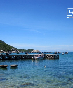 Lặn ngắm san hô cực đã ở Cù lao Chàm chỉ với 569.000đ