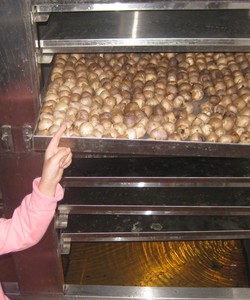 Bán buôn, bán lẻ tỏi đen cô đơn