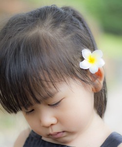 11 số tứ quý, tam hoa kép, kép tiến, taxi 2 bánh 3 bánh TT/TS đủ cả