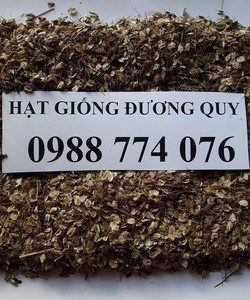 Hạt giống cây dược liệu