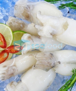 Chuyên cung cấp mực nang baby số lượng lớn giá cạnh tranh lẩu, nhúng giấm, nướng, xào rau củ
