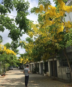 Bán liền kề Ao Sào, dt 63, 70m2 xây 4 tầng, giá rẻ từ 4,8 5,4 tỷ/căn