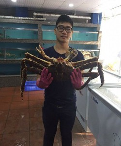 Cua hoàng đế
