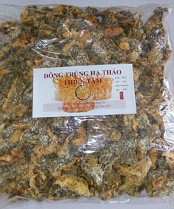 Đế đông trùng hạ thảo sinh khối sấy khô Việt Nam