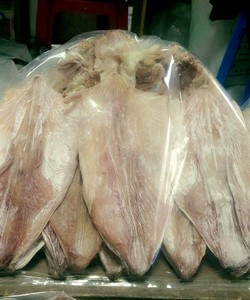 Mực câu Cát Bà.