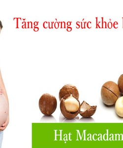 Hạt macca mua ở đâu uy tín Hạt macca có tác dụng gì