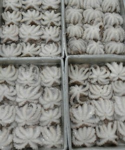 Bán buôn mực, bạch tuộc đông lạnh giá rẻ số lượng lớn tại Hà Nội