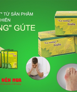 Lá Nương Gúte thần dược dân tộc Tày, khắc tinh của bệnh Gout