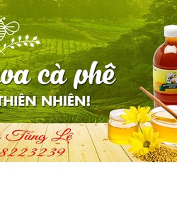 Mật ong hoa cà phê nguyên chất