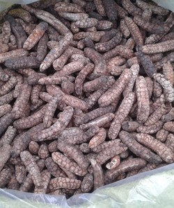 Chuối hột khô mua ở đâu tại hà nội đúng chuẩn