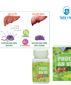Điều trị bệnh gan bằng thuốc đông y Phúc An Vị.