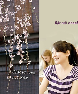 Tuyển sinh tiếng Nhật N5