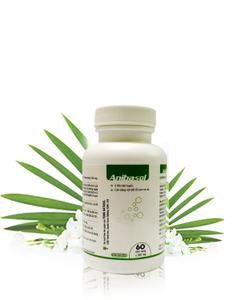 Anibasol Phòng ngừa và hỗ trợ các liệu pháp điều trị khối u