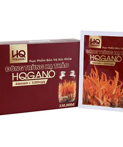 Đông Trùng Hạ Thảo HQGANO