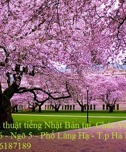 Dịch Thuật Tiếng Nhật Bản khu vực Thanh Xuân Hà Đông Hà Nội