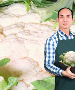 Bán ngay 800 tấn SÚP LƠ xuất khẩu, chợ đầu mối