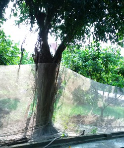 Bán đất thổ cư tại xã chương dương