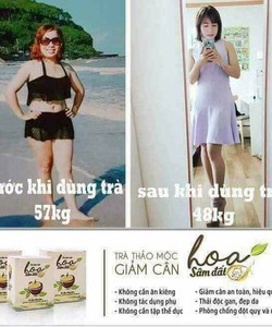 Hoa Sâm Đất Giảm cân an toàn, hiệu quả