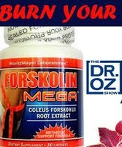 Thuốc giảm cân Forskolin Đẳng cấp giảm cân đến từ Hoa Kì