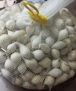 Tỏi Cô Đơn Lý Sơn