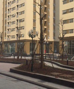 Cho thuê kiot kinh doanh tòa V3, V6 The Vesta Phú Lãm Hà Đông