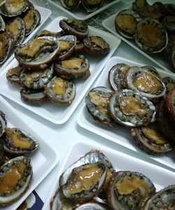 Đại lý bán bào ngư tại hà nội