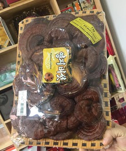 Nấm linh chi núi Hàn Quốc