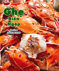 Ghẹ biển nấu món gì ngon