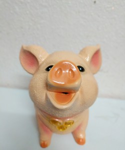 Lợn đất hếch mõm to