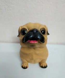 Chó Bull đất tiết kiệm