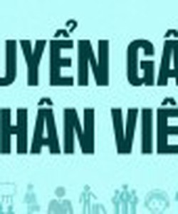 Cần tuyển gấp nhân viên kế toán làm việc tại công ty Khoáng Sản Tân Thịnh