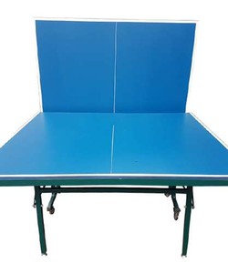 Bàn bóng bàn Thiên Trường PT 02