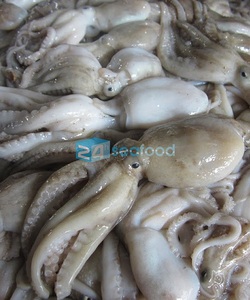 Bạch tuộc baby bao nhiêu tiền một ký. cung cấp bạch tuộc baby đông lạnh làm sạch