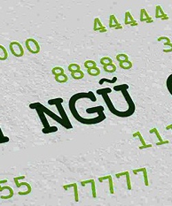 Sim ngũ quý ở giữa đẹp xuất sắc