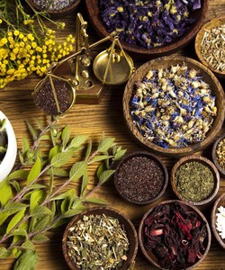 Phân phối thuốc trị viêm xoang hiệu Đông Á LH 0934874096