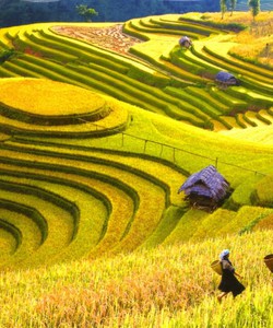 Tour Du Lịch Sapa 3 Ngày 2 Đêm
