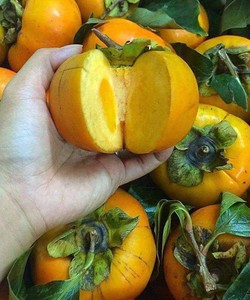 Hồng giòn đặc sản Mộc Châu