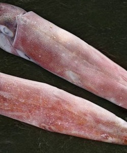 MỰC ỐNG ĐỎ IQF 5 6c/Kg