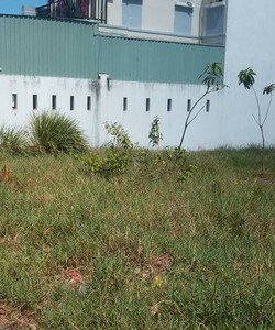 Cần tiền bán gấp đất mặt tiền đường QL 50 900tr/192m2