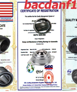 Vòng bi mắt trâu Vòng bi Rod End chính hãng F1.