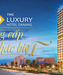 Căn hộ TMS Luxury Đà Nẵng, căn hộ đã bàn giao chỉ từ 2,5 tỷ, ngân hàng MB Bảo lãnh