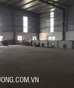 Cần cho thuê gấp nhà xưởng tại khu công nghiệp Trung Hà, Tam Nông Phú Thọ DT 1515m2
