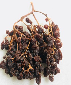 Chuyên sỉ, lẻ nho khô nguyên cành dòng Menidee