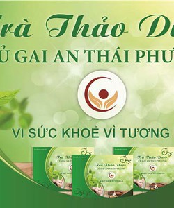 Trà củ gai và các chế phẩm từ củ gai giúp an thai