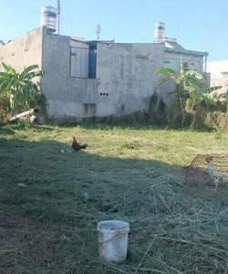 Gia đình cần bán gấp 1 lô đất thổ cư 100% mặt tiền đường tỉnh lộ 8 huyện củ chi giá 650 triệu