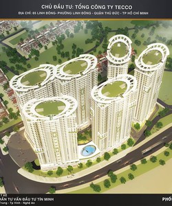 Mua nhà rước xe Đón Tết với quà tặng cực hấp dẫn khi mua căn hộ Tecco camelia complex